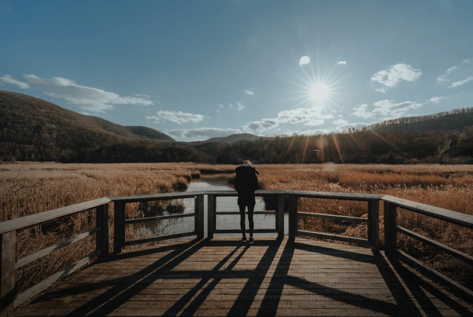 Road Trips from Stony Point, NY: Exploring the Scenic Beauty Beyond