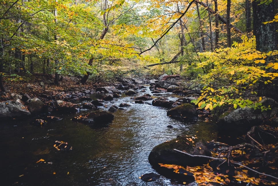 Unforgettable Adventures: Exploring Attractions and Activities in Stony Point, NY