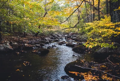 Unforgettable Adventures: Exploring Attractions and Activities in Stony Point, NY